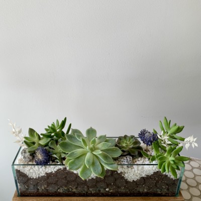 Botanicals