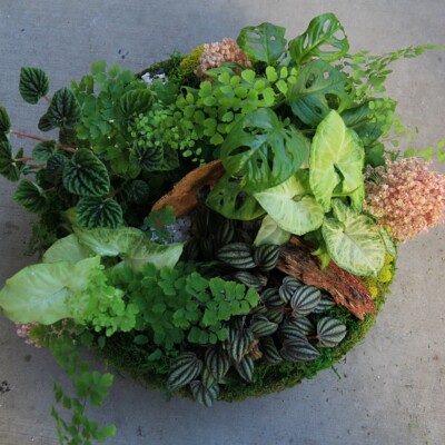 Planter Garden